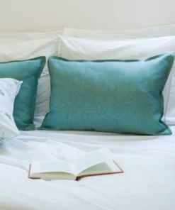 Almohadón de Lino Frances Tornasolado Verde